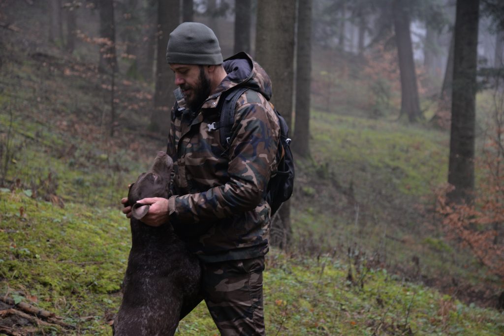 Vânătoarea de trufe în Bucovina