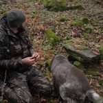 Vânătoarea de trufe în Bucovina