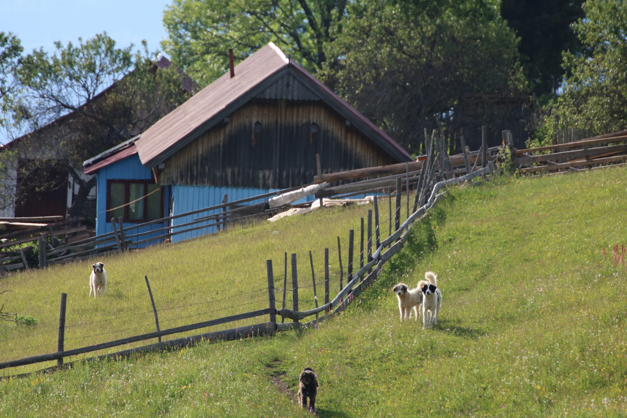 Colibița, luxul discret al naturii - (Foto: Claudiu Vatau)